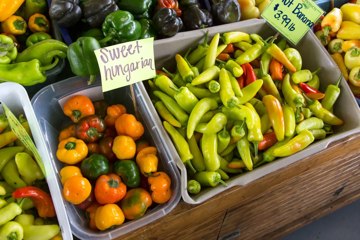 A Farmers Market Shopping Checklist for Seasonal Eating on a Budget